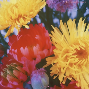 艾莉被❌❌爆乳无尽
