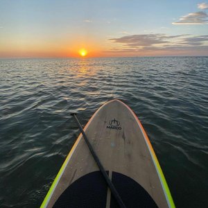 艾莉被❌❌爆乳无尽
